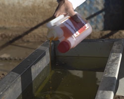 Aliment complémentaire liquide