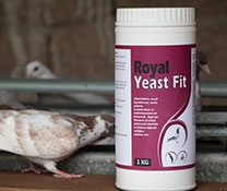 Yeast