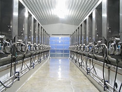 Milking Systems Cleaning