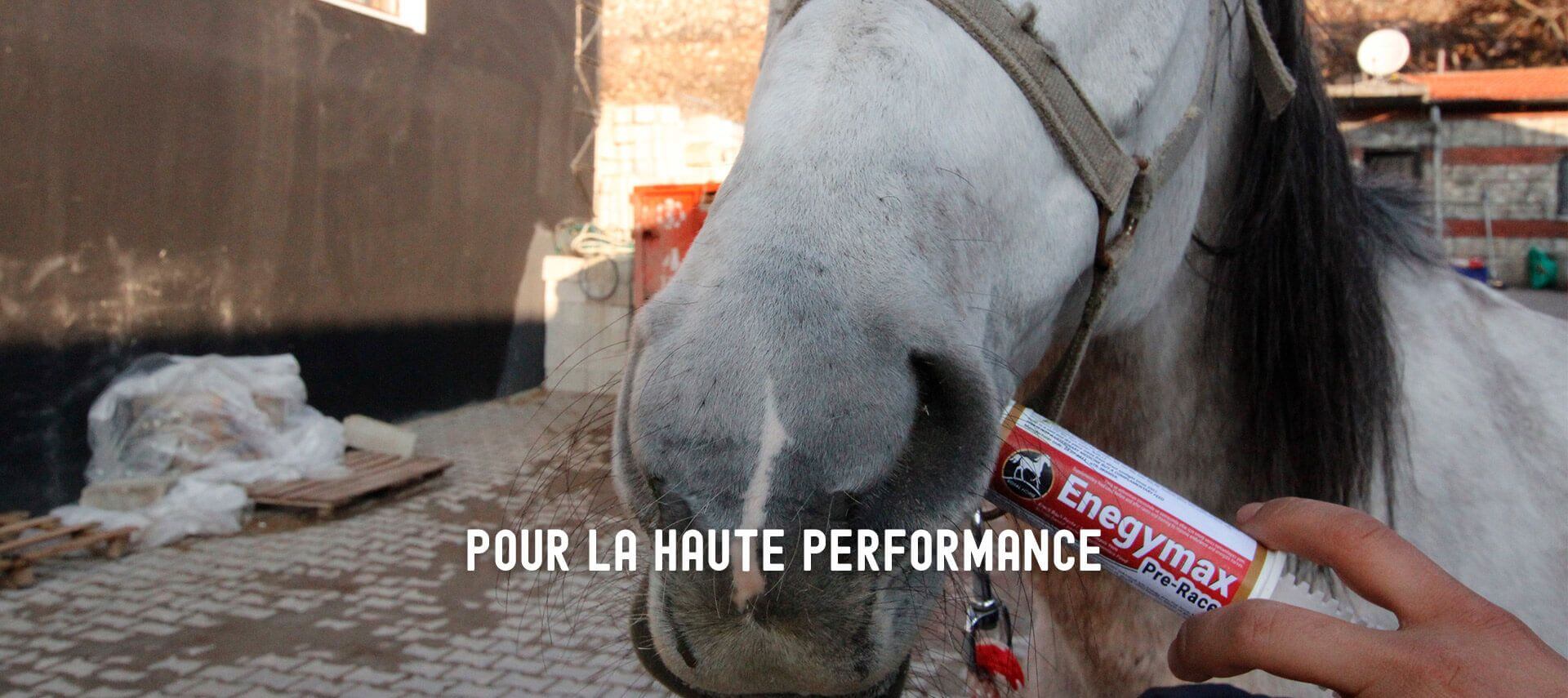 Pour la  haute performance