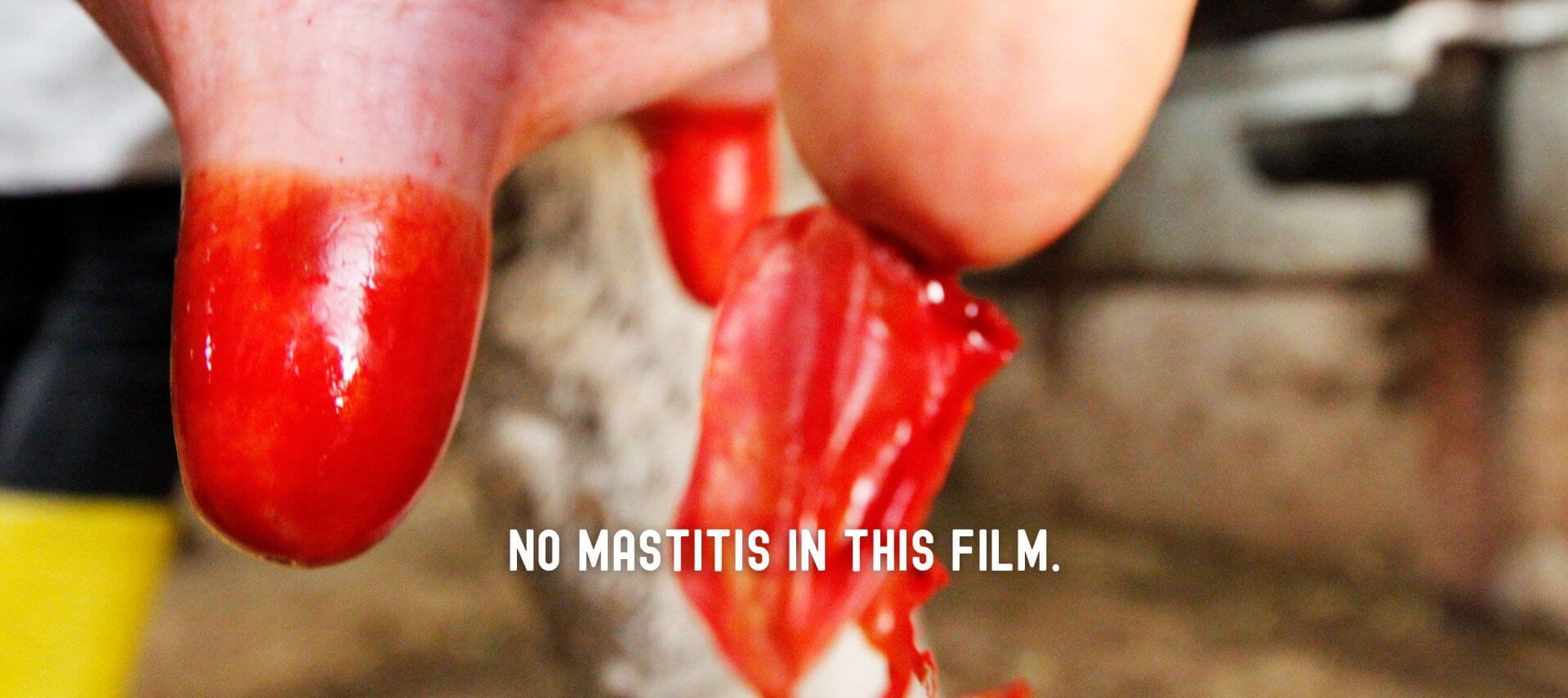  No mastitis in this film