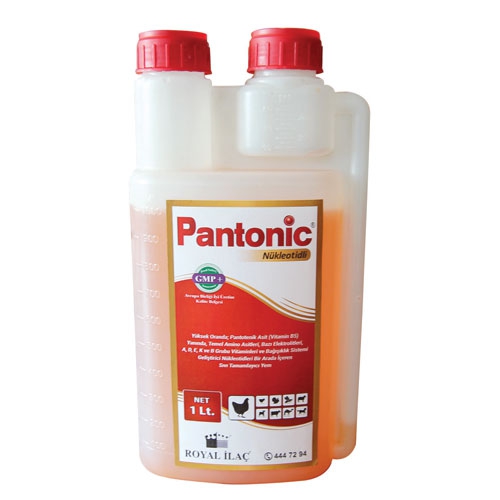 Royal Horse Pantonic