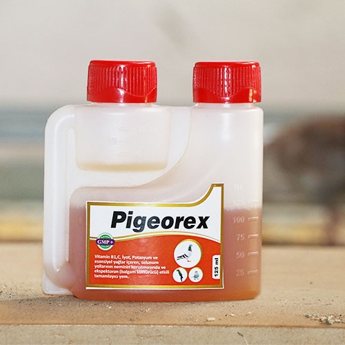 Pigeorex