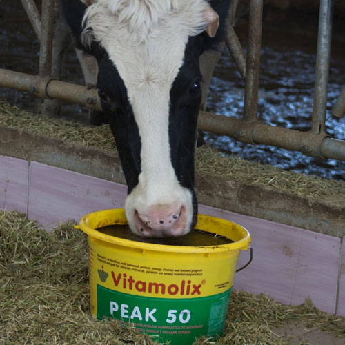 Vitamolix Peak 50