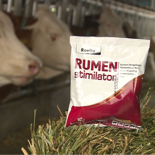 Rumen Stimulator