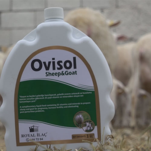Ovisol Sheep & Goat