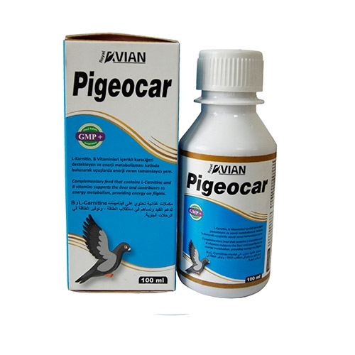 Pigeocar