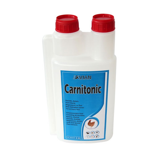 Royal Horse&Camel Carnitonic