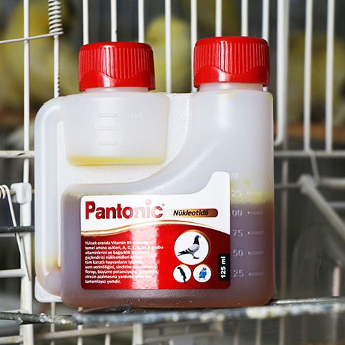 Pantonic