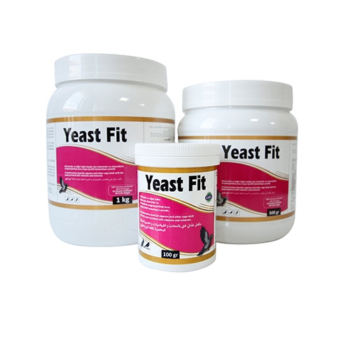 Yeast Fit