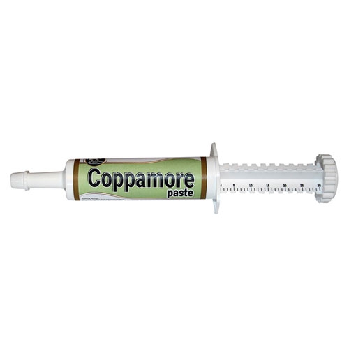 Royal Camel&Horse Coppamore Syringe