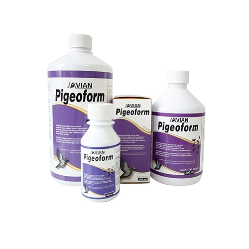 Pigeoform