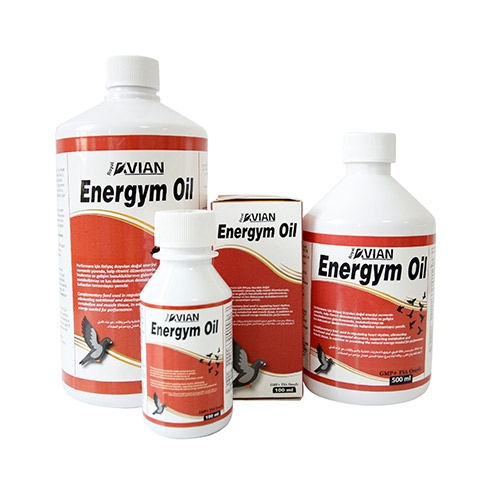 Energym Oil